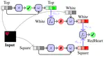 Causal Concept Embedding Models: Beyond Causal Opacity in Deep Learning